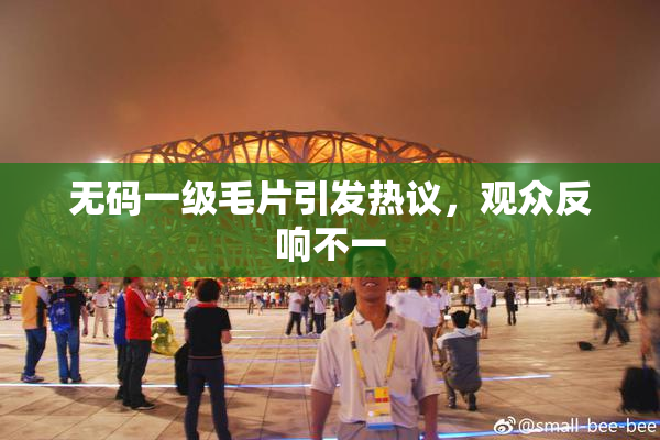 无码一级毛片引发热议，观众反响不一