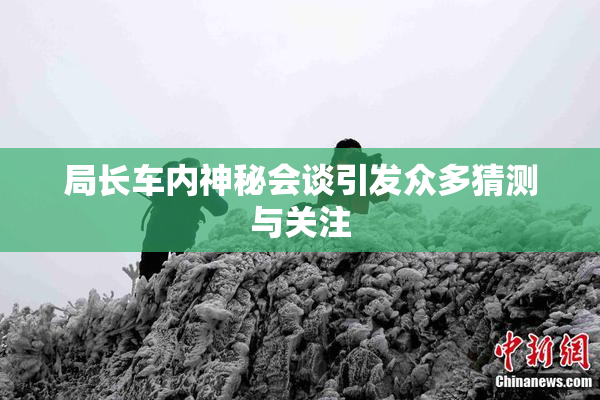 局长车内神秘会谈引发众多猜测与关注