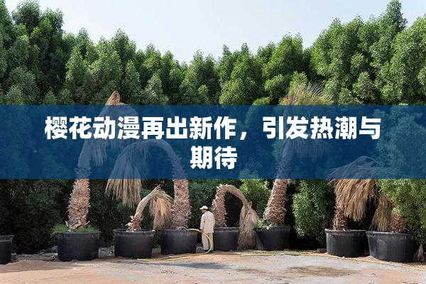 樱花动漫再出新作，引发热潮与期待