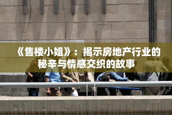 《售楼小姐》：揭示房地产行业的秘辛与情感交织的故事