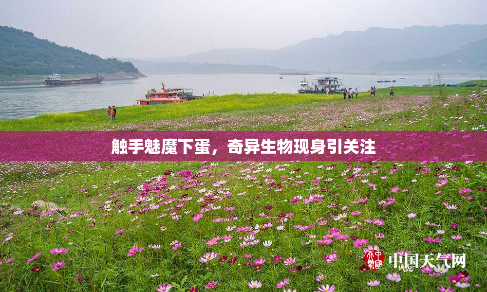 触手魅魔下蛋，奇异生物现身引关注