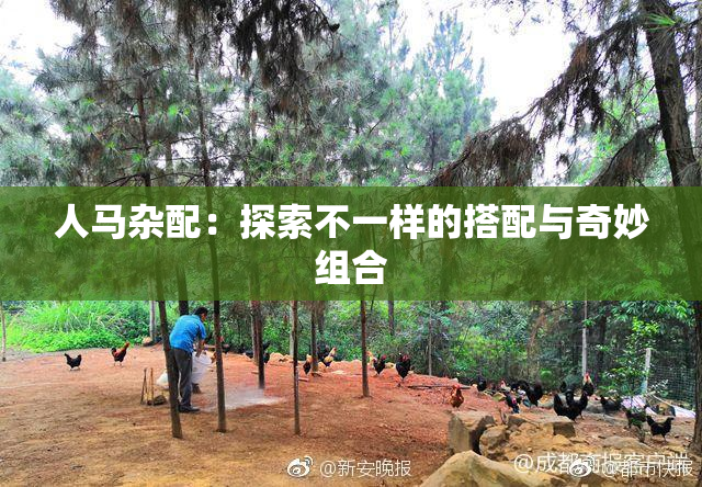 人马杂配：探索不一样的搭配与奇妙组合
