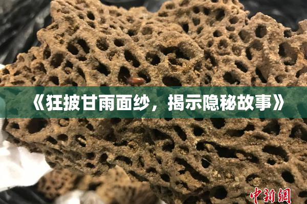 《狂披甘雨面纱，揭示隐秘故事》