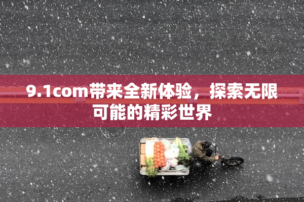 9.1com带来全新体验，探索无限可能的精彩世界