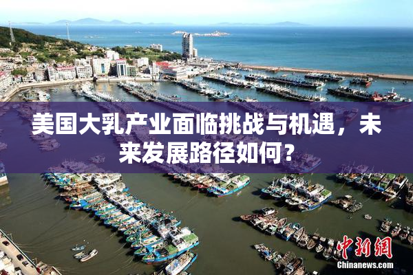 美国大乳产业面临挑战与机遇，未来发展路径如何？