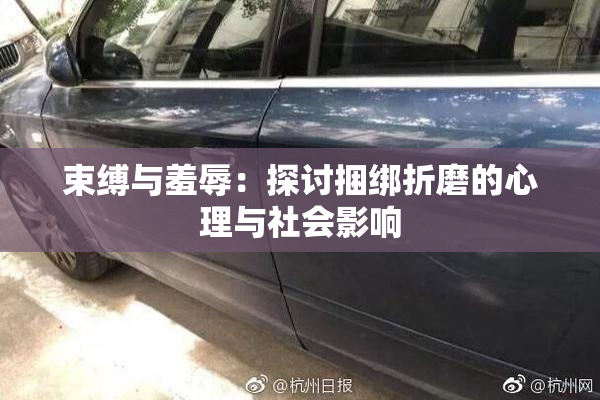 束缚与羞辱：探讨捆绑折磨的心理与社会影响