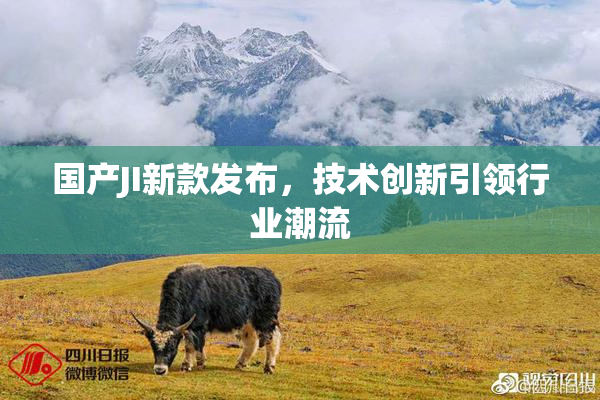 国产JI新款发布，技术创新引领行业潮流