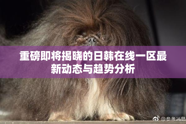 重磅即将揭晓的日韩在线一区最新动态与趋势分析