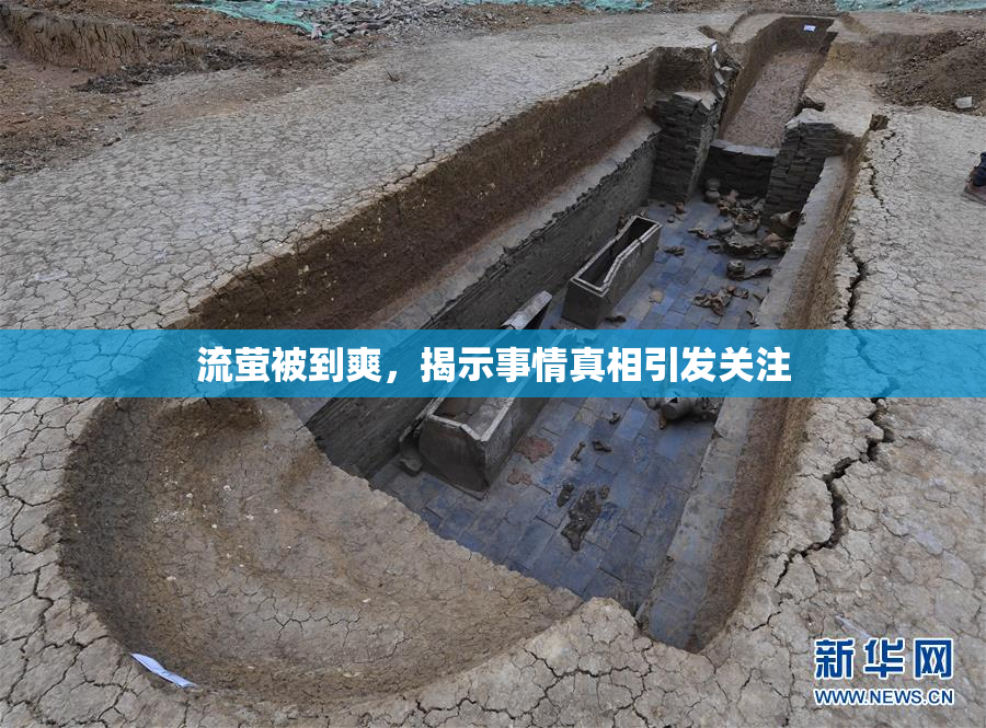 流萤被到爽，揭示事情真相引发关注