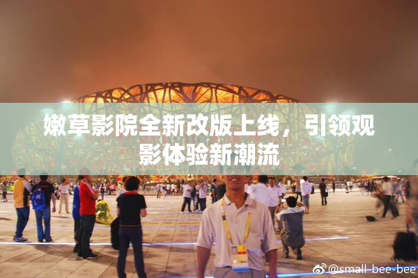 嫩草影院全新改版上线，引领观影体验新潮流
