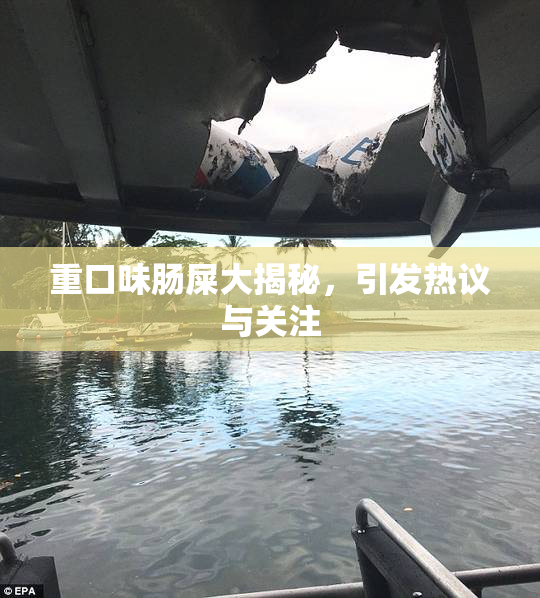 重口味肠屎大揭秘，引发热议与关注