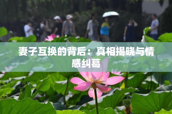 妻子互换的背后：真相揭晓与情感纠葛