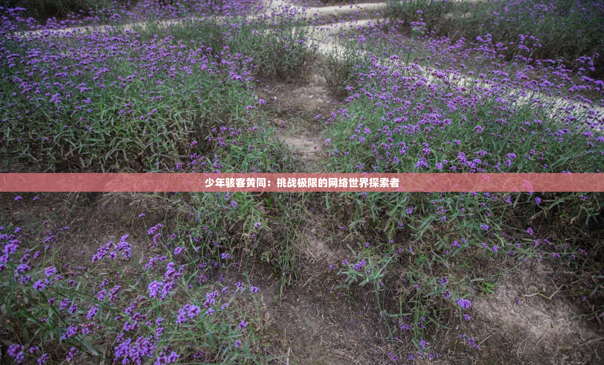 少年骇客黄同：挑战极限的网络世界探索者