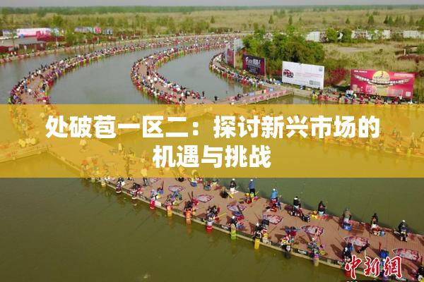 处破苞一区二：探讨新兴市场的机遇与挑战