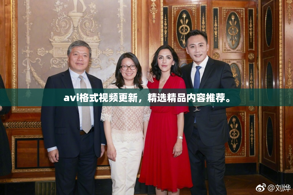avi格式视频更新，精选精品内容推荐。
