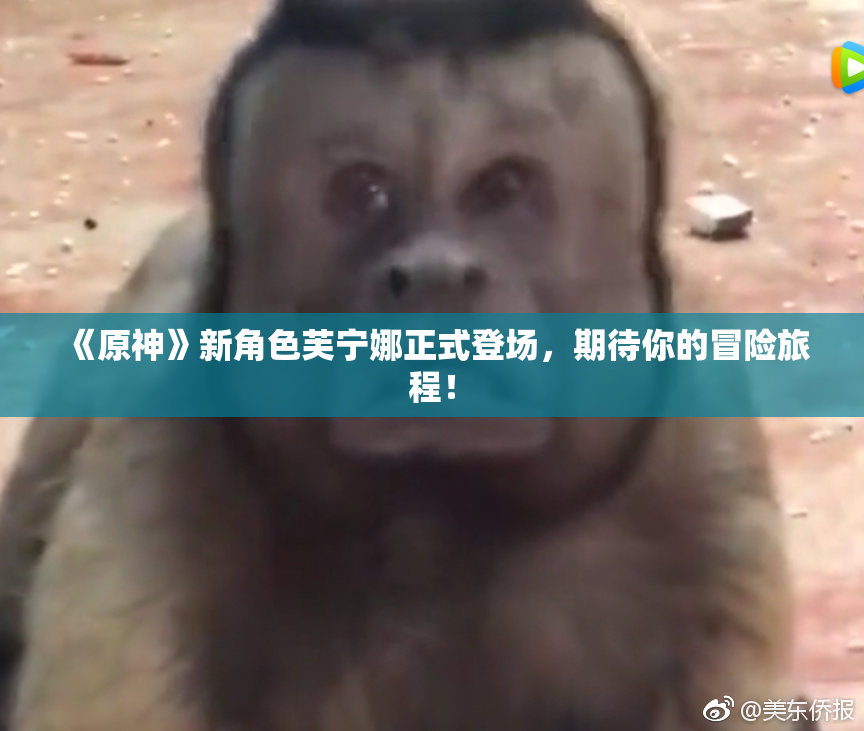 《原神》新角色芙宁娜正式登场，期待你的冒险旅程！