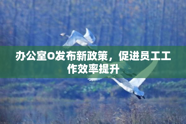 办公室O发布新政策，促进员工工作效率提升