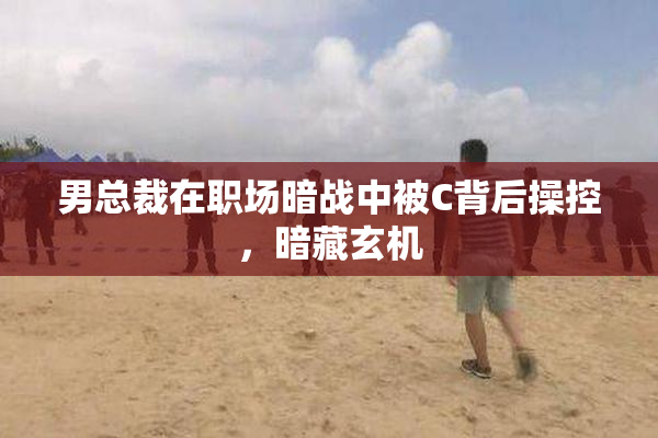 男总裁在职场暗战中被C背后操控，暗藏玄机