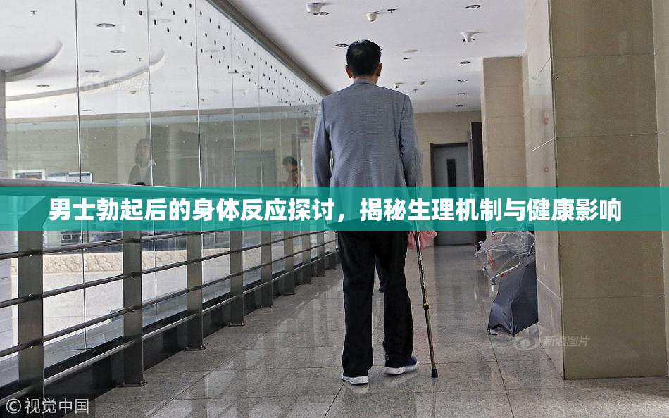 男士勃起后的身体反应探讨，揭秘生理机制与健康影响