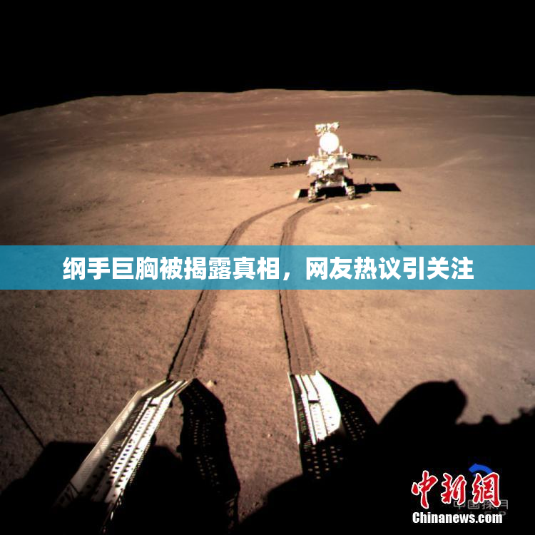 纲手巨胸被揭露真相，网友热议引关注