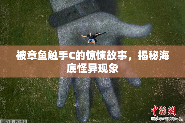 被章鱼触手C的惊悚故事，揭秘海底怪异现象