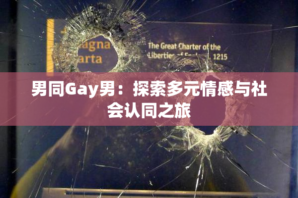 男同Gay男：探索多元情感与社会认同之旅