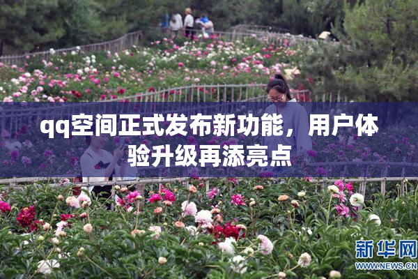 qq空间正式发布新功能，用户体验升级再添亮点