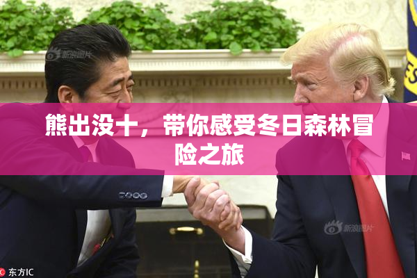 熊出没十，带你感受冬日森林冒险之旅