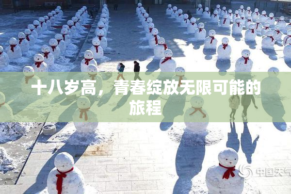 十八岁高，青春绽放无限可能的旅程