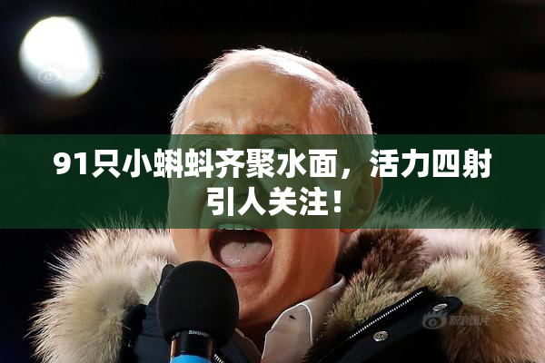 91只小蝌蚪齐聚水面，活力四射引人关注！