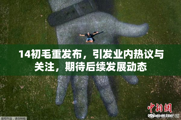 14初毛重发布，引发业内热议与关注，期待后续发展动态