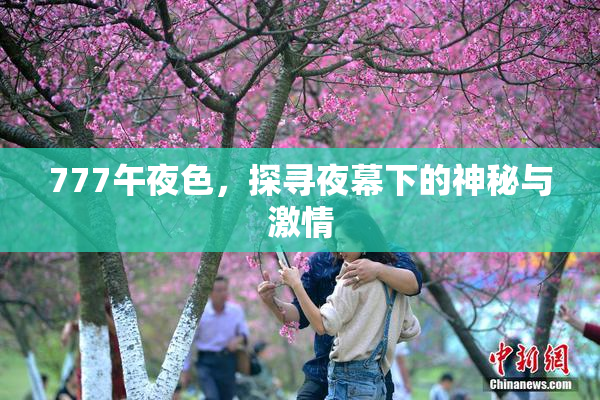 777午夜色，探寻夜幕下的神秘与激情
