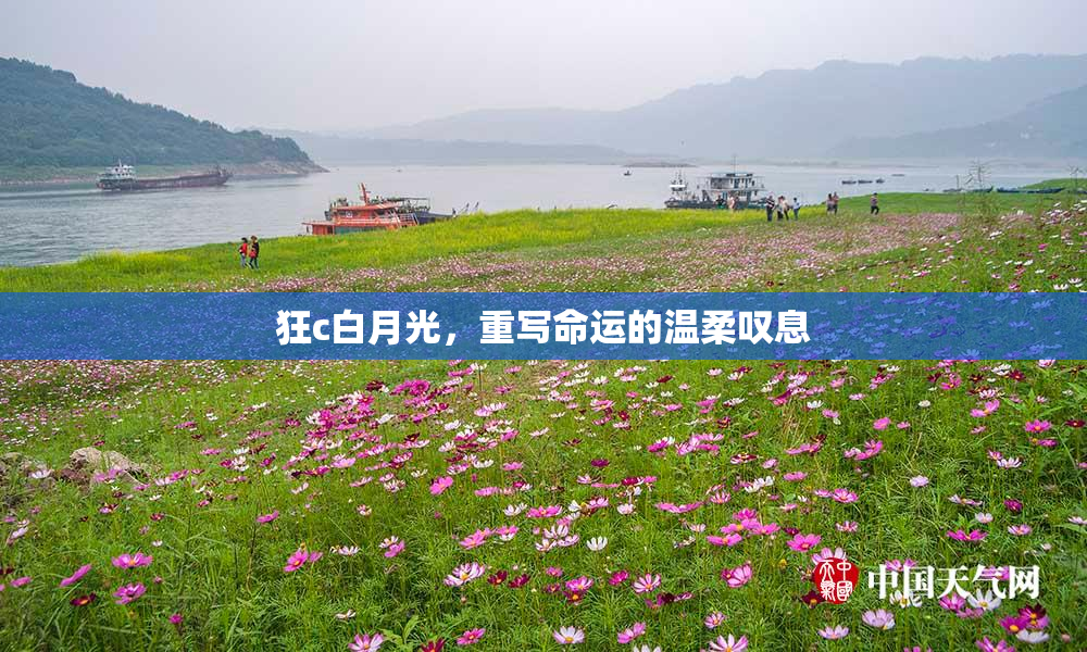 狂c白月光，重写命运的温柔叹息