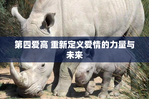 第四爱高 重新定义爱情的力量与未来