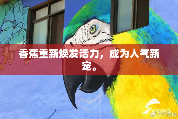 香蕉重新焕发活力，成为人气新宠。