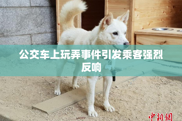 公交车上玩弄事件引发乘客强烈反响