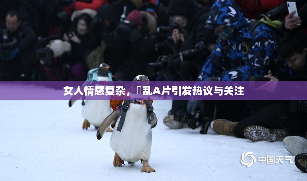 女人情感复杂，婬乱A片引发热议与关注
