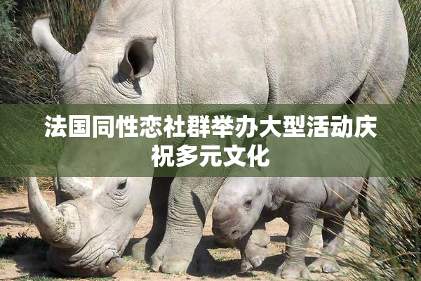 法国同性恋社群举办大型活动庆祝多元文化
