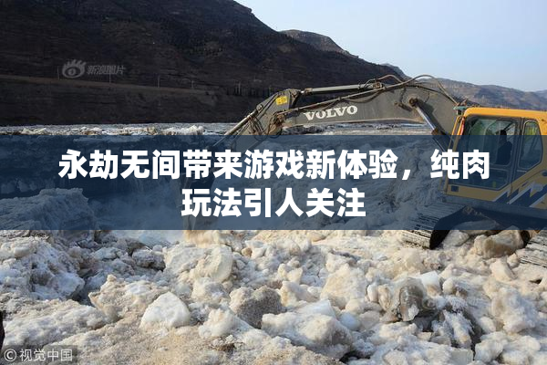 永劫无间带来游戏新体验，纯肉玩法引人关注