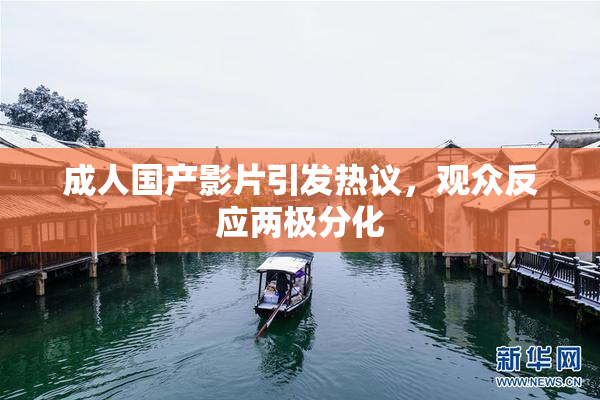 成人国产影片引发热议，观众反应两极分化