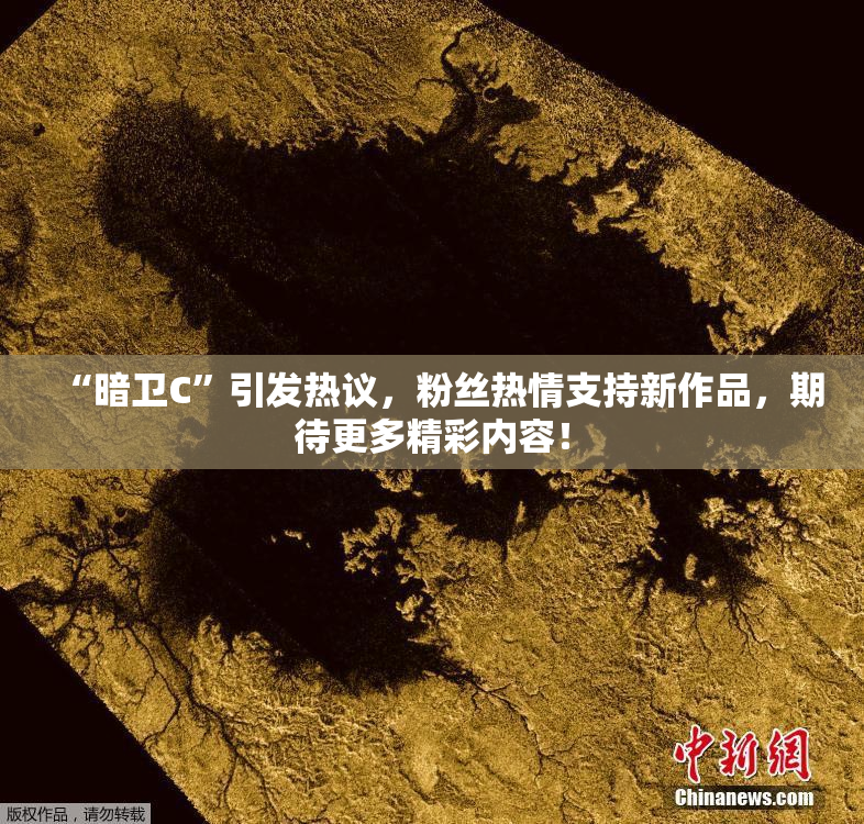 “暗卫C”引发热议，粉丝热情支持新作品，期待更多精彩内容！
