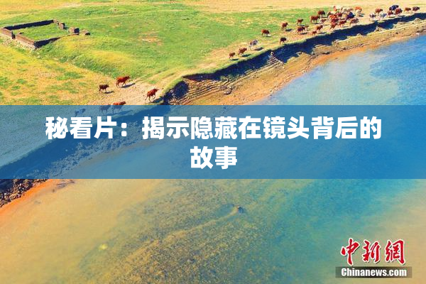 秘看片：揭示隐藏在镜头背后的故事
