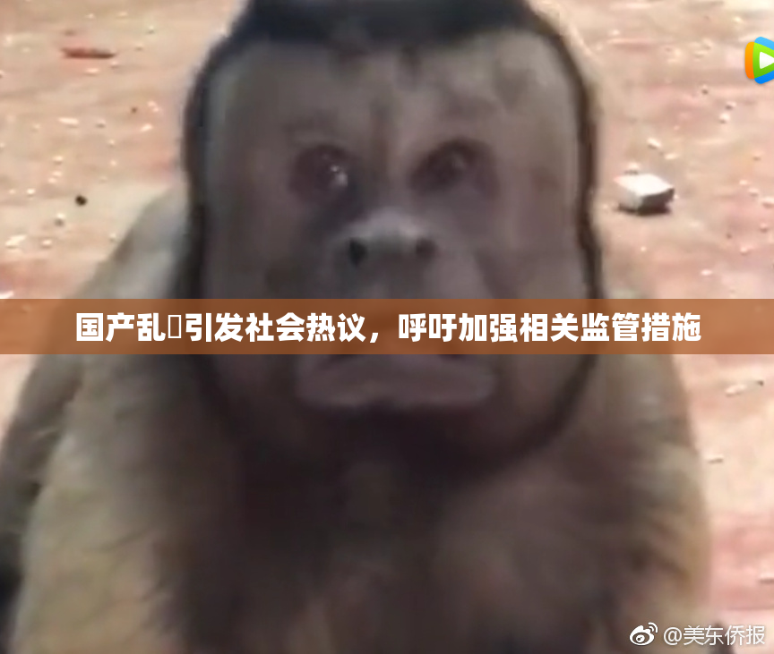 国产乱婬引发社会热议，呼吁加强相关监管措施