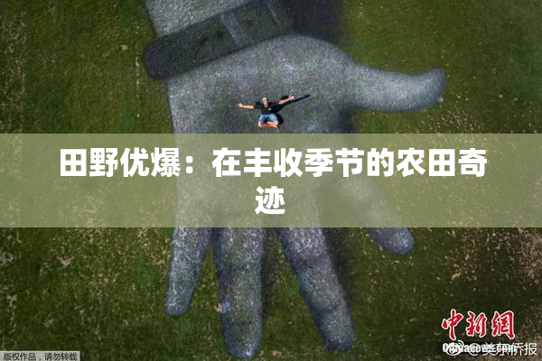田野优爆：在丰收季节的农田奇迹