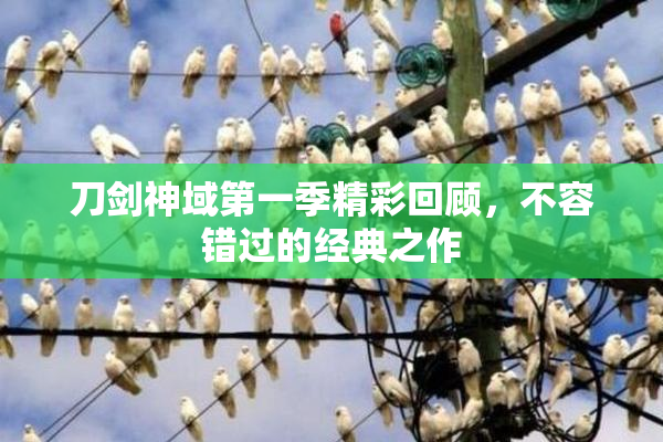 刀剑神域第一季精彩回顾，不容错过的经典之作