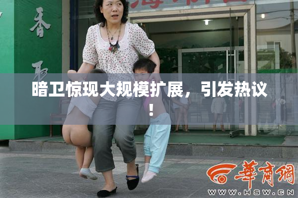 暗卫惊现大规模扩展，引发热议！