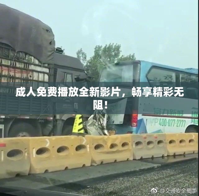 成人免费播放全新影片，畅享精彩无阻！