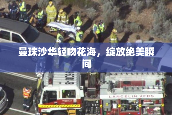 曼珠沙华轻吻花海，绽放绝美瞬间