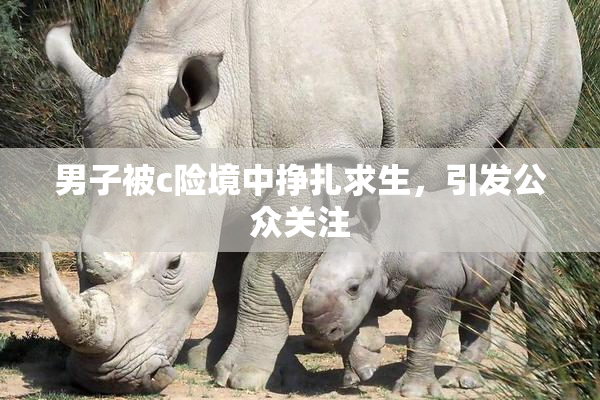 男子被c险境中挣扎求生，引发公众关注