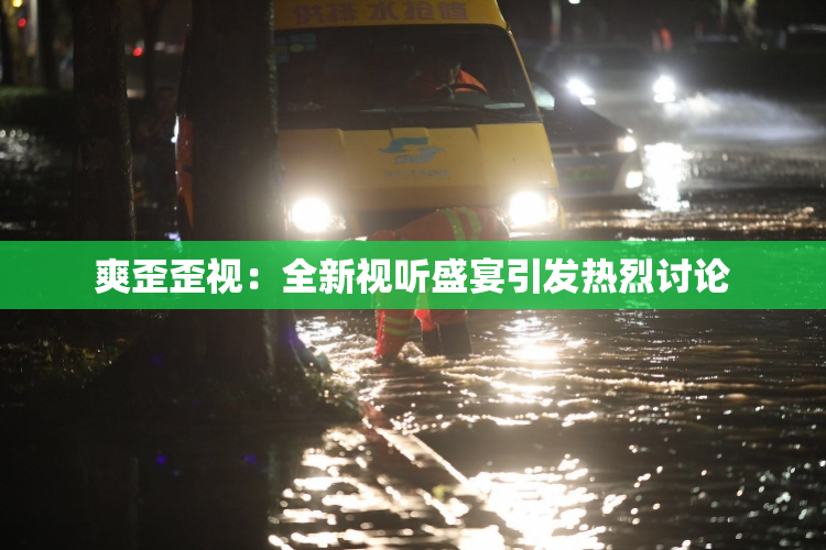 爽歪歪视：全新视听盛宴引发热烈讨论
